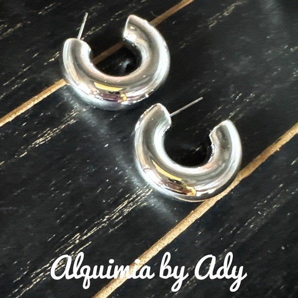 Alquimia by Ady Silver Hoop Earrings - Picture 1 of 1